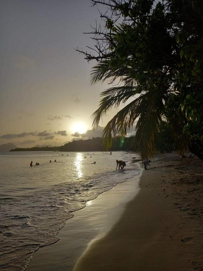 Studio Des Flots - Tartane Martinique لا ترينيت المظهر الخارجي الصورة