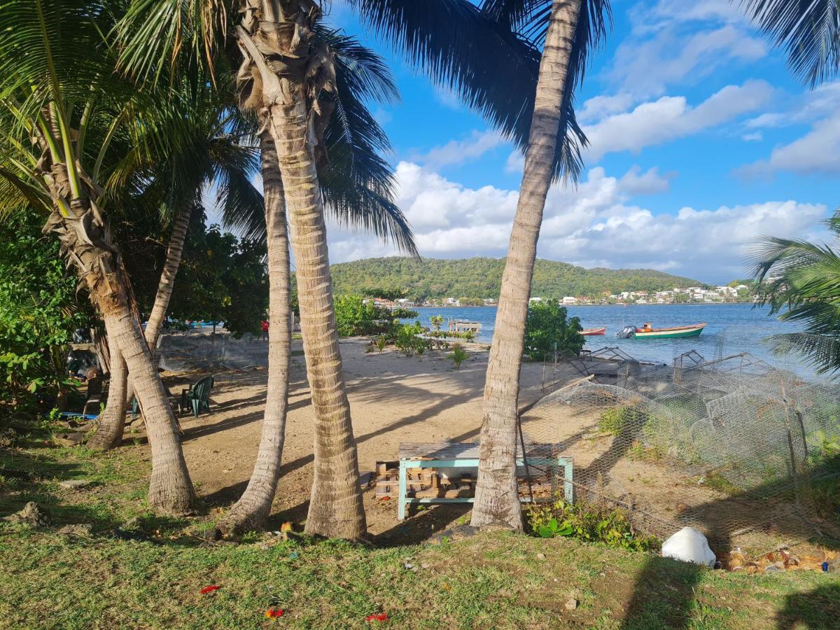 Studio Des Flots - Tartane Martinique لا ترينيت المظهر الخارجي الصورة